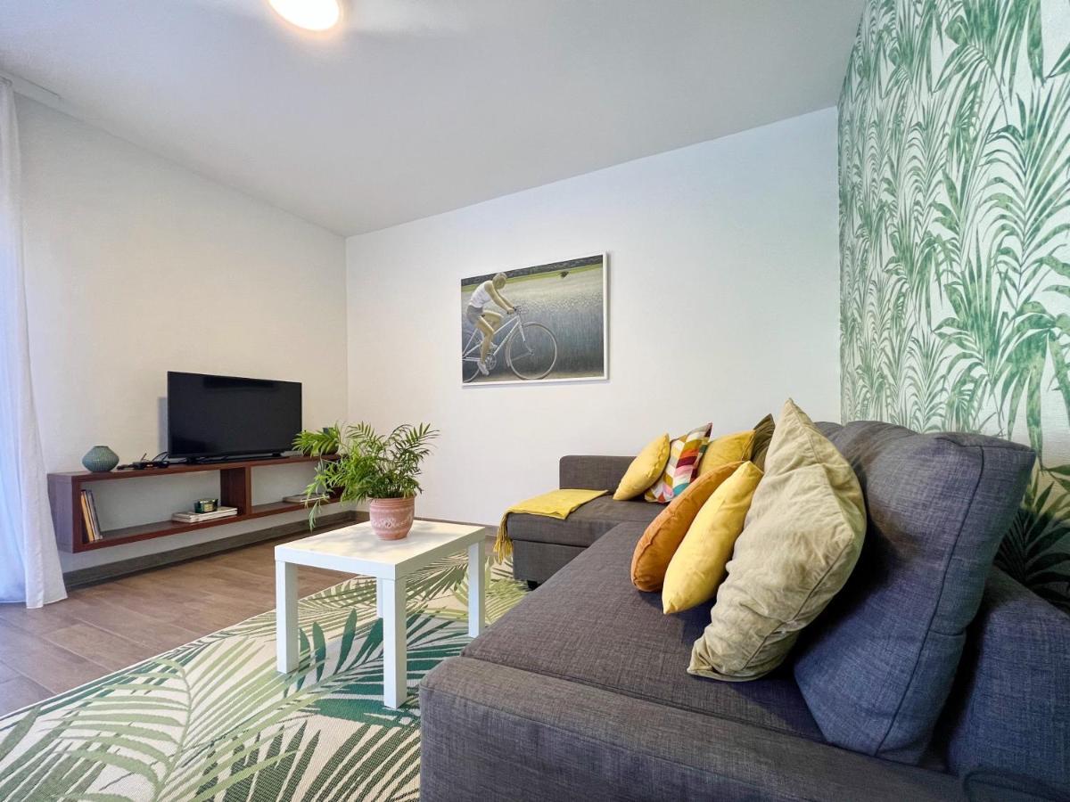 Apartments Teodora Maria Novigrad  Bagian luar foto