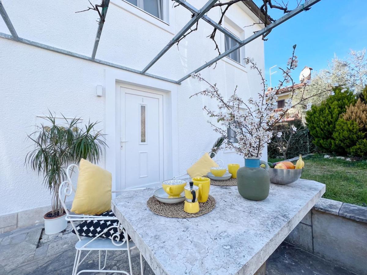 Apartments Teodora Maria Novigrad  Bagian luar foto